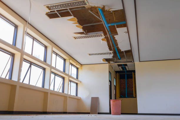  Vail, AZ Water damage restoration Pros