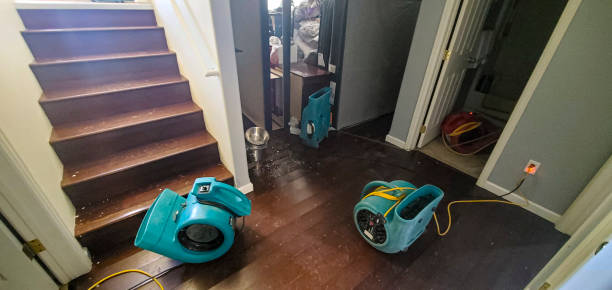 Best Commercial water damage restoration  in Vail, AZ
