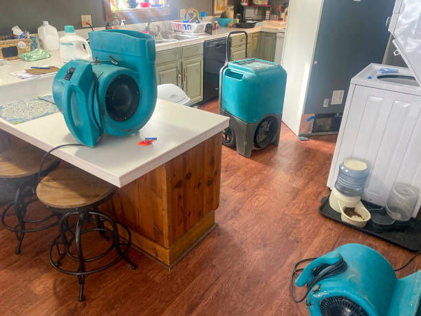 Best Water damage contractors near me  in Vail, AZ