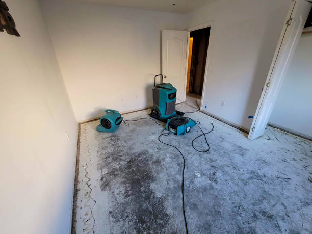 Best Flood restoration services  in Vail, AZ