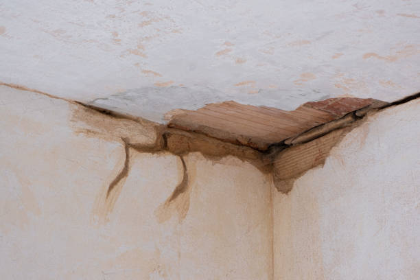 Best Basement water damage restoration  in Vail, AZ