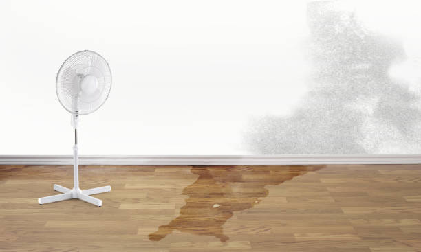 Best Sewage cleanup and water damage restoration  in Vail, AZ