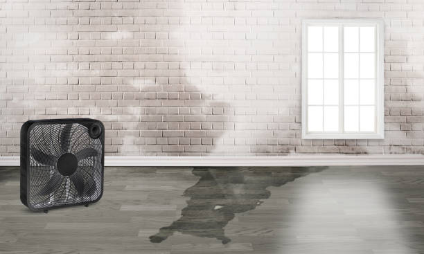 Trusted AZ Water damage restoration Experts