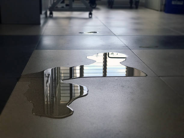 Best 24-hour water damage restoration  in Vail, AZ