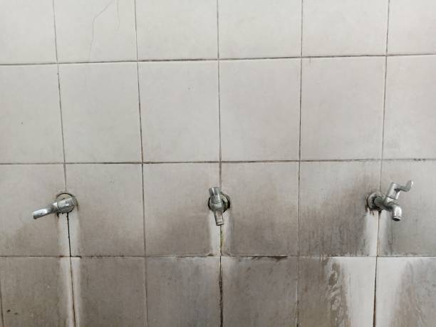 Best Flood damage cleanup  in Vail, AZ