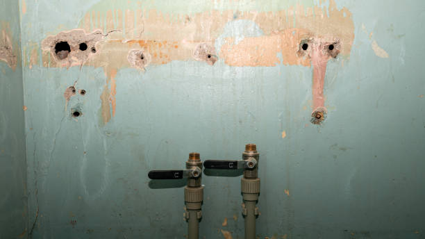 Best Water damage restoration specialists  in Vail, AZ
