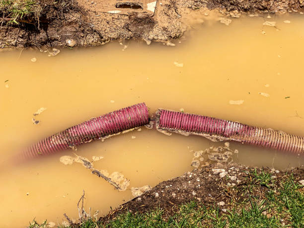 Best 24-hour water damage restoration  in Vail, AZ