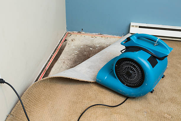 Best Ceiling water damage repair  in Vail, AZ